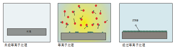 麻豆视频APP免费版特征4