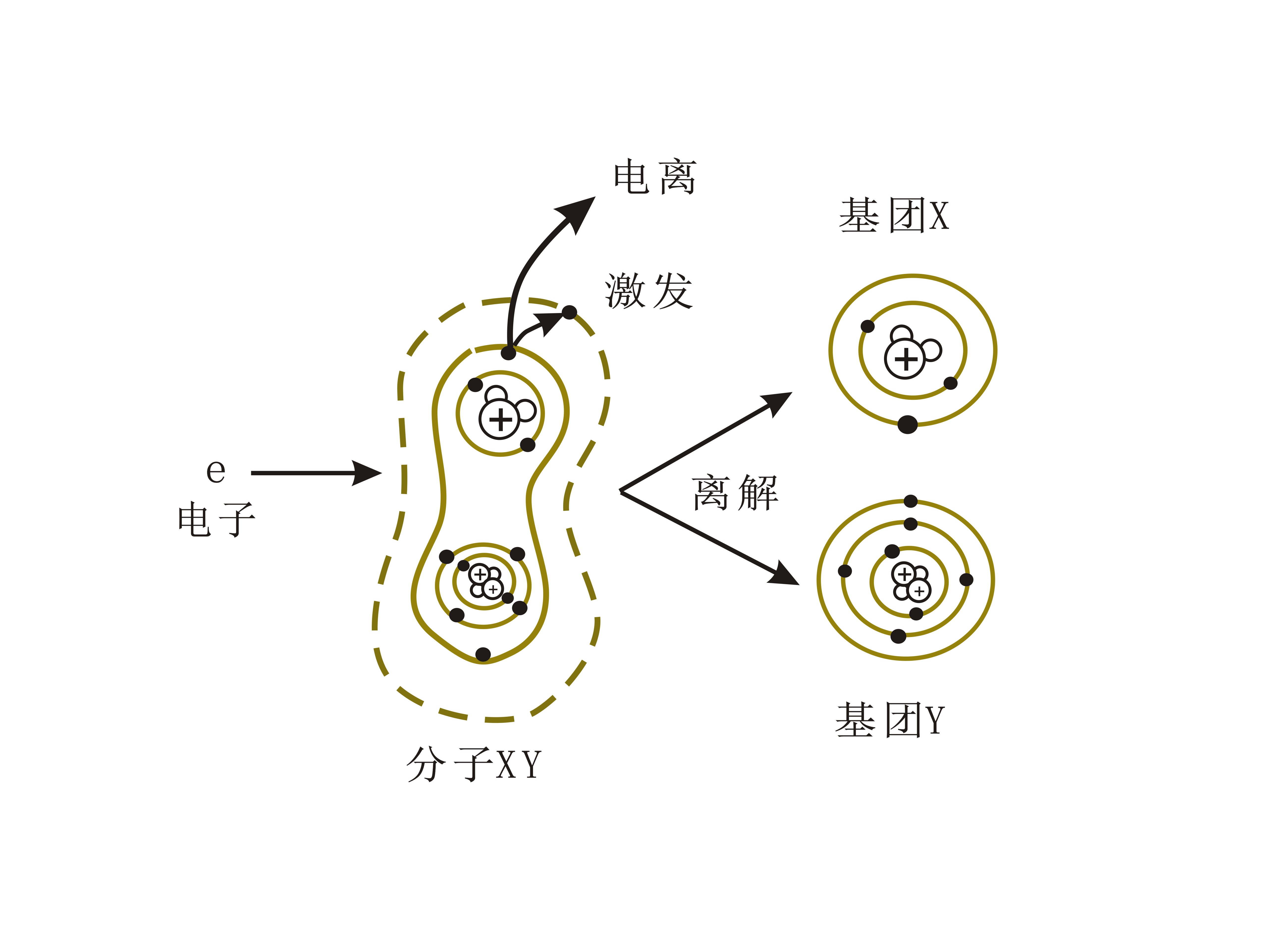 麻豆果冻剧传媒在线播放机的离解